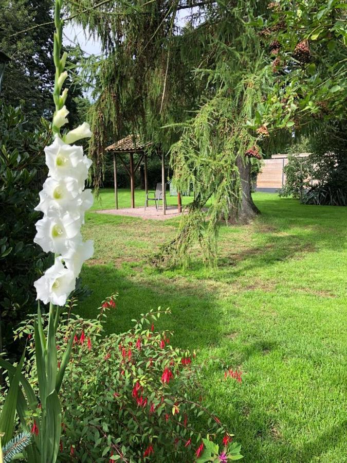 'T Stippie Otel Koewacht Dış mekan fotoğraf